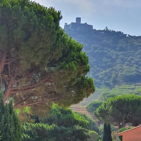 5vse-lam4 Faubourg T2 Proche Vue Degagee * Collioure