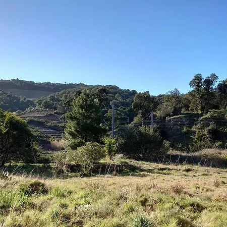 5vse-lam4 Faubourg T2 Proche Vue Degagee Collioure